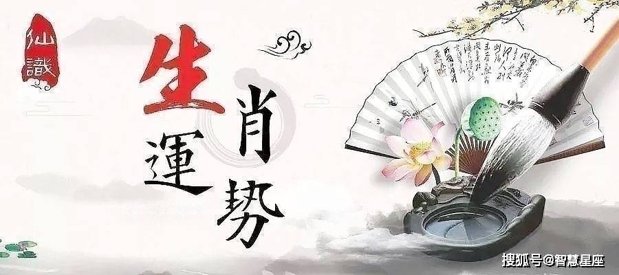 一身清白打一个准确生肖,警惕虚假宣传落实,精准解答解释落实